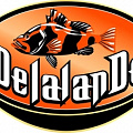 Силиконовые приманки Delalande