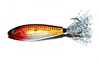 100011027415