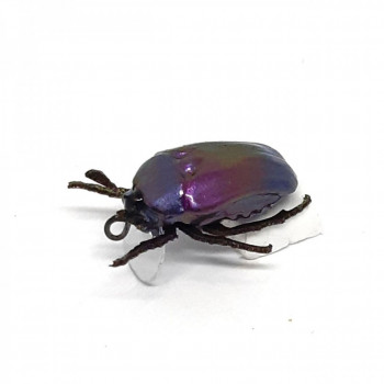 Воблер Chafer37 Жук Бронзовка 1,1 г MG-11