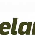 Брюки Seeland