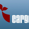 Тройники Cargo